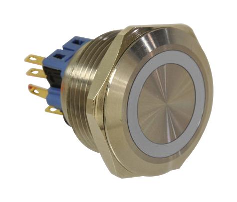 Buy Vandalproof Switch Part Number PV9F2U0SS341 Online