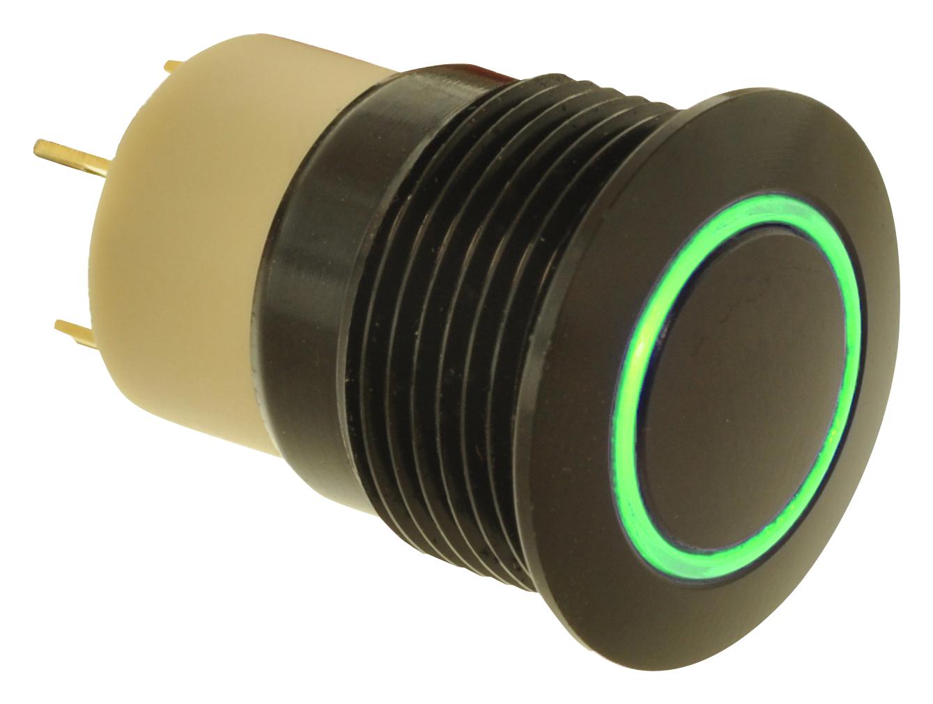 Buy E-Switch PVAG Series Anti-Vandal Switch Part Number PVA6LRE21111 Online
