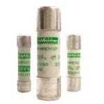 Q217686 FERRAZ SHAWMUT Ferrule Fuse-Links | myMectronic