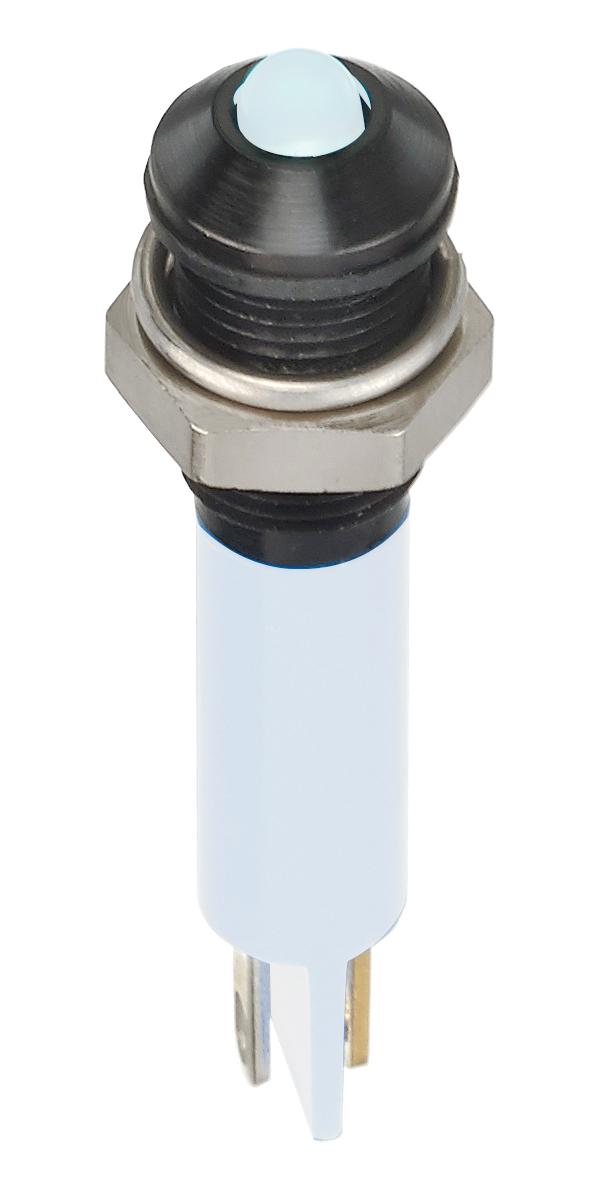 Brisk Series LED Indicator: Q6P1BXXW12E
