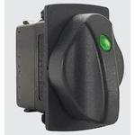 Carling Technologies RV22D2CC0CBK4C image