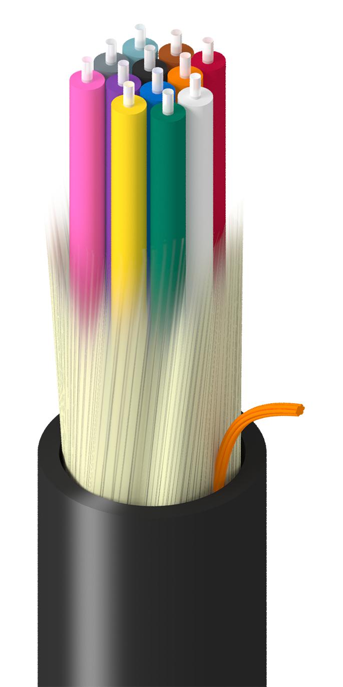 BELDEN TF-1D9-012-RN5 – Reliable Fiber Distribution Cable for Industrial Applications