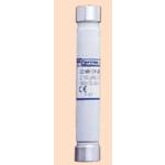 Z088020 FERRAZ SHAWMUT 1000V DC Ferrule Fuse | myMectronic