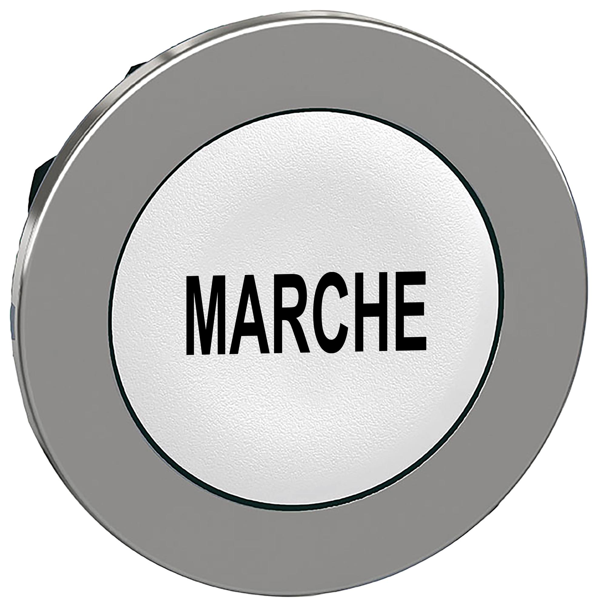 Schneider Electric Series Harmony XB4 Pushbutton Head: ZB4FA58